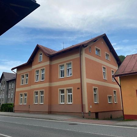 Horsky Apartman Desna - Jizerky 外观 照片