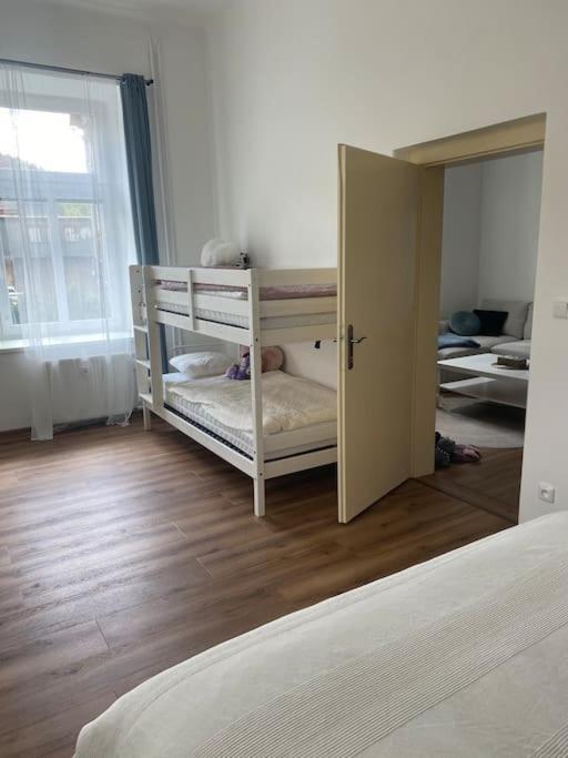 Horsky Apartman Desna - Jizerky 外观 照片